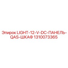 1310073365 LIGHT-12-V-DC-ПАНЕЛЬ-QAS-ШКАФ Epiroc