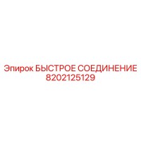 8202125129 БЫСТРОЕ СОЕДИНЕНИЕ Epiroc