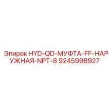 9245998927 HYD-QD-МУФТА-FF-НАРУЖНАЯ-NPT-8 Epiroc