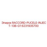 6231935700 RACCORD-PUCELE-INJECT-13B-G1 Epiroc