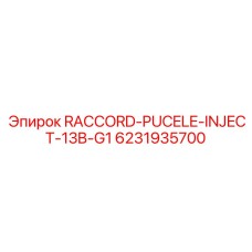 6231935700 RACCORD-PUCELE-INJECT-13B-G1 Epiroc