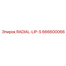 666600066 RADIAL-LIP-S Epiroc