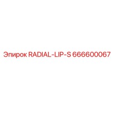 666600067 RADIAL-LIP-S Epiroc