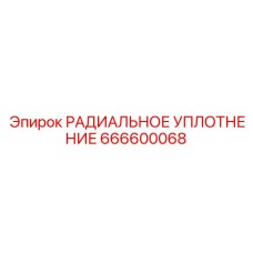 666600068 РАДИАЛЬНОЕ УПЛОТНЕНИЕ Epiroc