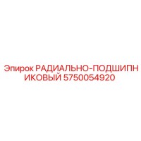 5750054920 РАДИАЛЬНО-ПОДШИПНИКОВЫЙ (Epiroc)
