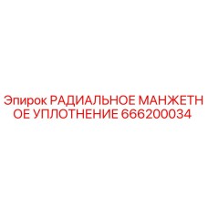 666200034 РАДИАЛЬНОЕ МАНЖЕТНОЕ УПЛОТНЕНИЕ Epiroc
