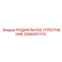 5590001170 РАДИАЛЬНОЕ УПЛОТНЕНИЕ Epiroc