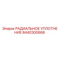 8440300668 РАДИАЛЬНОЕ УПЛОТНЕНИЕ (Epiroc)