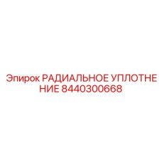 8440300668 РАДИАЛЬНОЕ УПЛОТНЕНИЕ (Epiroc)