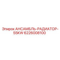6226008100 АНСАМБЛЬ-РАДИАТОР-55KW Epiroc