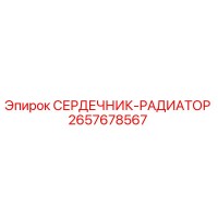 2657678567 СЕРДЕЧНИК-РАДИАТОР Epiroc
