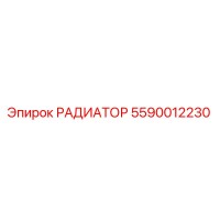 5590012230 РАДИАТОР (Epiroc)