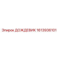 1613936101 ДОЖДЕВИК by Epiroc