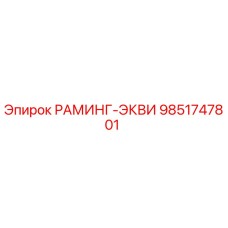 9851747801 РАМИНГ-ЭКВИ Epiroc