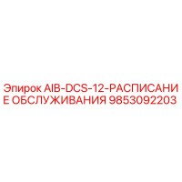 9853092203 AIB-DCS-12-РАСПИСАНИЕ ОБСЛУЖИВАНИЯ Epiroc
