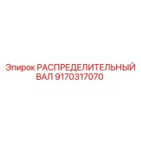9170317070 РАСПРЕДЕЛИТЕЛЬНЫЙ ВАЛ Epiroc
