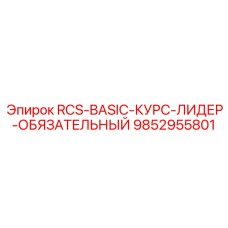 9852955801 RCS-BASIC-КУРС-ЛИДЕР-ОБЯЗАТЕЛЬНЫЙ Epiroc