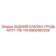 9900481209 ЗАДНИЙ КЛАПАН-ГРУДЬ-M117-118-119 Epiroc