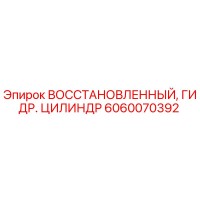 6060070392 Восстановленный гидравлический цилиндр Epiroc