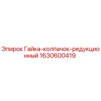 1630600419 Гайка-колпачок-редукционный Epiroc