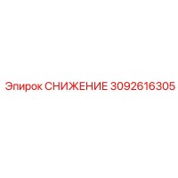 3092616305 СНИЖЕНИЕ Epiroc