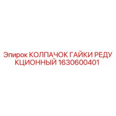1630600401 КОЛПАЧОК ГАЙКИ РЕДУКЦИОННЫЙ Epiroc