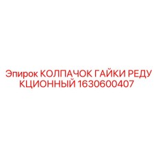 1630600407 КОЛПАЧОК ГАЙКИ РЕДУКЦИОННЫЙ Epiroc