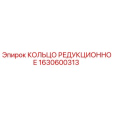 1630600313 КОЛЬЦО РЕДУКЦИОННОЕ Epiroc