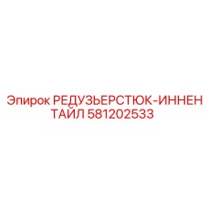 Редузьерстюк-иннентайл 581202533 для оборудования Epiroc
