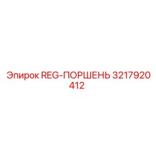 3217920412 REG-ПОРШЕНЬ Epiroc