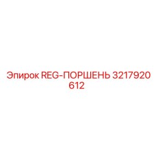 3217920612 REG-ПОРШЕНЬ Epiroc