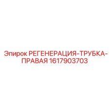 1617903703 РЕГЕНЕРАЦИЯ-ТРУБКА-ПРАВАЯ Epiroc