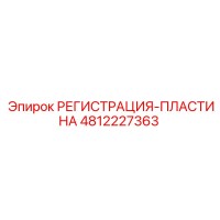 4812227363 РЕГИСТРАЦИЯ-ПЛАСТИНА Epiroc
