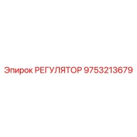9753213679 РЕГУЛЯТОР Epiroc