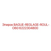 6222304800 BAGUE-REGLAGE-ROUL-O60 Epiroc