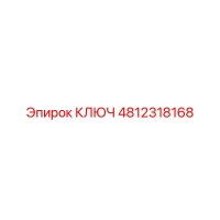 4812318168 КЛЮЧ Epiroc