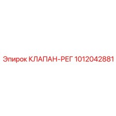 1012042881 КЛАПАН-РЕГ Epiroc