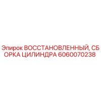 6060070238 ВОССТАНОВЛЕННЫЙ, СБОРКА ЦИЛИНДРА Epiroc