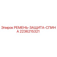 2236215321 РЕМЕНЬ-ЗАЩИТА-СПИНА Epiroc