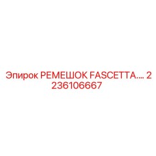 2236106667 РЕМЕШОК FASCETTA Epiroc