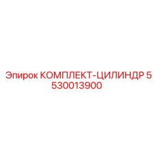 5530013900 КОМПЛЕКТ-ЦИЛИНДР Epiroc