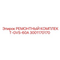 3001170170 РЕМОНТНЫЙ КОМПЛЕКТ-GVS-60A Epiroc