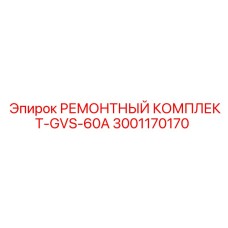 3001170170 РЕМОНТНЫЙ КОМПЛЕКТ-GVS-60A Epiroc