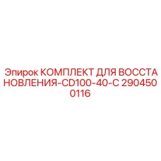 2904500116 КОМПЛЕКТ ДЛЯ ВОССТАНОВЛЕНИЯ-CD100-40-C Epiroc