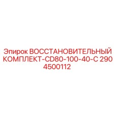 2904500112 ВОССТАНОВИТЕЛЬНЫЙ КОМПЛЕКТ-CD80-100-40-C Epiroc