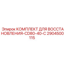 2904500115 КОМПЛЕКТ ДЛЯ ВОССТАНОВЛЕНИЯ-CD80-40-C Epiroc