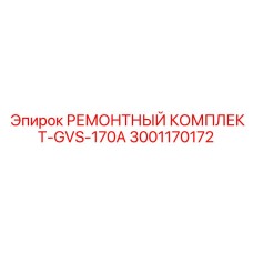 3001170172 РЕМОНТНЫЙ КОМПЛЕКТ-GVS-170A Epiroc