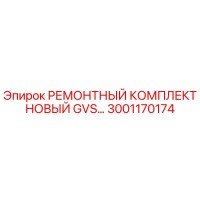 3001170174 РЕМОНТНЫЙ КОМПЛЕКТ НОВЫЙ GVS Epiroc
