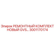 3001170174 РЕМОНТНЫЙ КОМПЛЕКТ НОВЫЙ GVS Epiroc