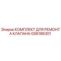 GS6186301 КОМПЛЕКТ ДЛЯ РЕМОНТА КЛАПАНА Epiroc